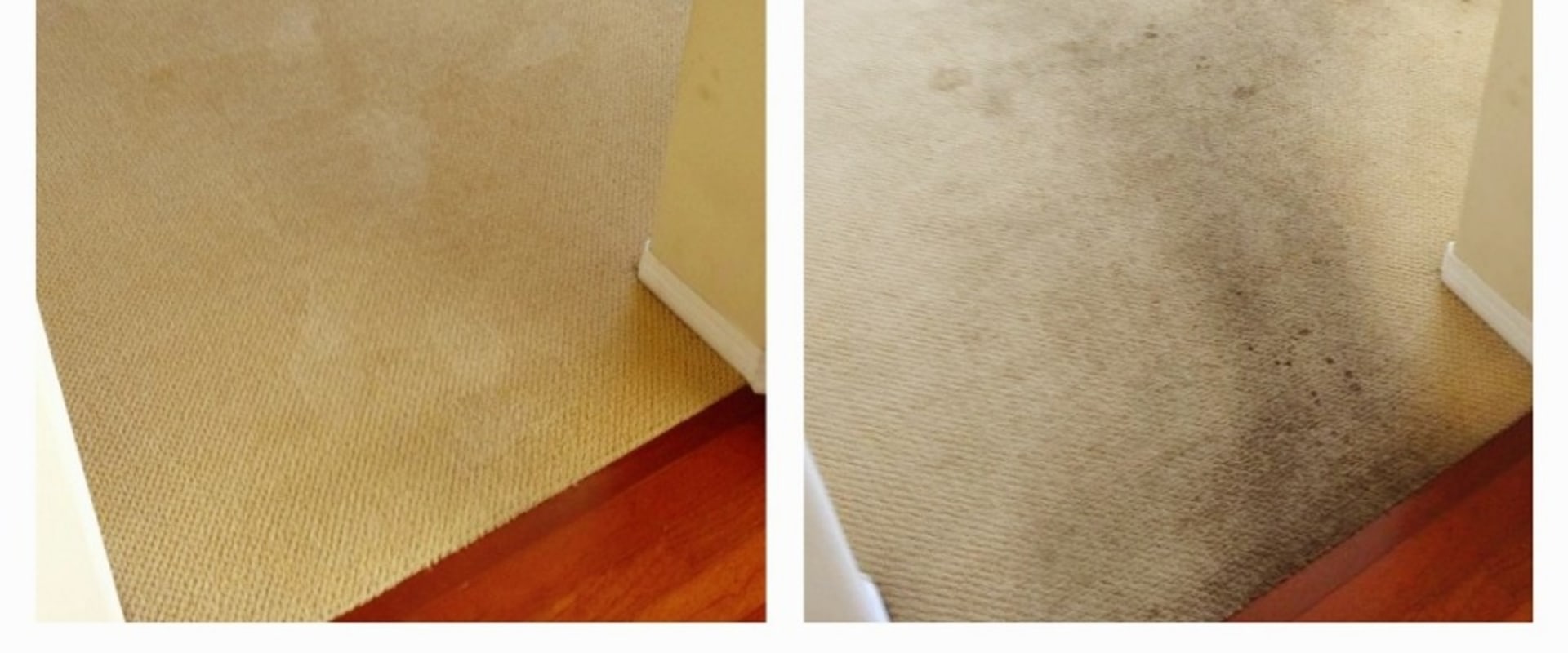 When And Why You Should Include Carpet Cleaning In Your Commercial Cleaning Service In Lexington, KY